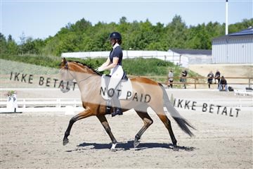 181449_kbb_01_6II9267.JPG
