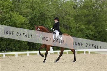 139835_sg_01_IMG_7894.JPG