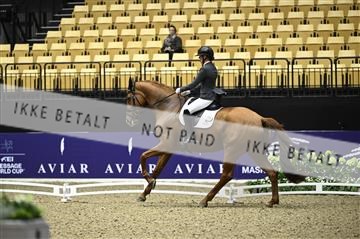 182194_kbb_02_Z097430.JPG