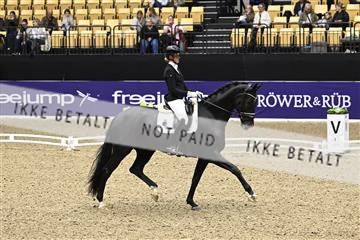 182194_kbb_03_Z091184.JPG