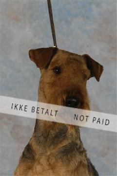 5493_sme _03__MG_9786.JPG