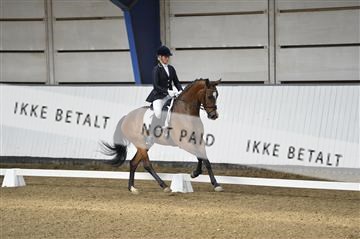 140040_abo_02__AB18359.JPG