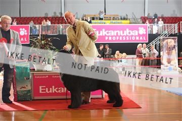 6068_ma_05_IMG_6072.JPG