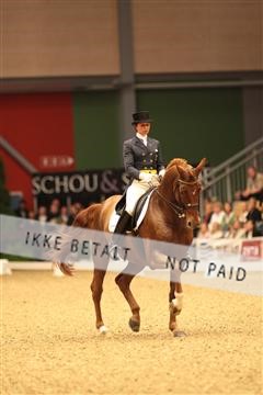 5471_abo_10_IMG_1032.JPG