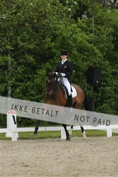 139835_sg_03_IMG_9167.JPG