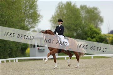 139835_sg_01_IMG_7491.JPG