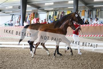 181756_mtp_03_R62_2150.JPG