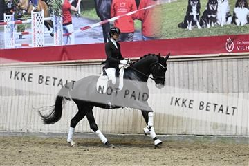 182241_kbb_01_Z094357.JPG