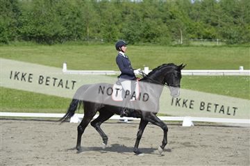 140040_abo_01__AB17353.JPG
