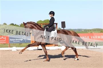 181449_bc_01R62_6404.JPG