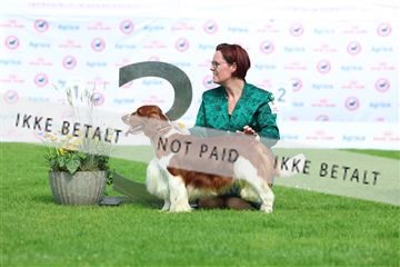 181564_rin_01_R62_0389.JPG
