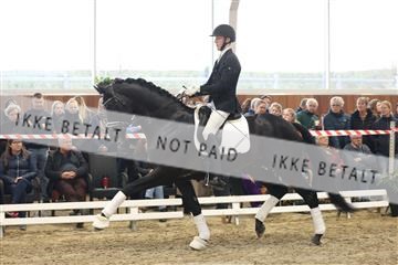 174363_kbb_01_R6II8277.JPG