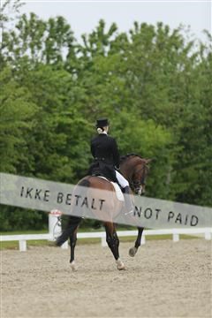 139835_sg_03_IMG_9180.JPG