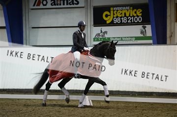 141472_abo_01__AB16121.JPG