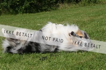 130370_se_03_IMG_7562.JPG