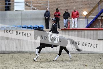182241_kbb_01_Z093658.JPG
