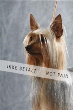 129608_le_ 02_0150.JPG