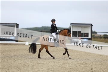 181894_mtp_04_R62_3444.JPG