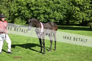 181957_kbb_03_Z090978.JPG