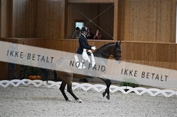 182176_kbb_01_Z094648.JPG