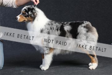 132082_le_ 01_IMG_0254.JPG