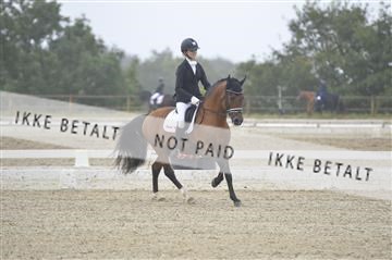 169624_kbb_01__KBB8076.JPG