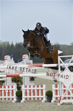 139644_abo_06__AB10261.JPG