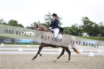 156196_nn_01_IMG_5373.JPG