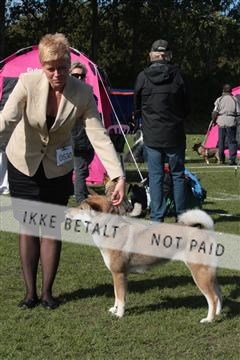 126168_tl_01_IMG_0080.JPG