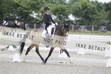 166078_rhj_01__J7R3889.JPG