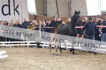 174363_kbb_01_R6II8036.JPG