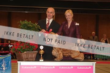 124188 _tl_02_IMG_9249.JPG