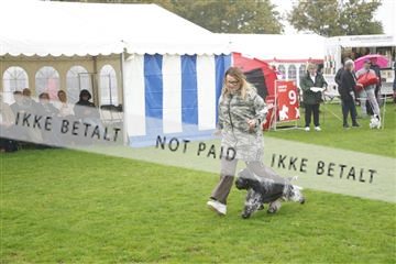 182009_kar_01__62_5734.JPG
