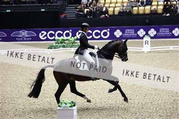182194_avh_05_2431.JPG