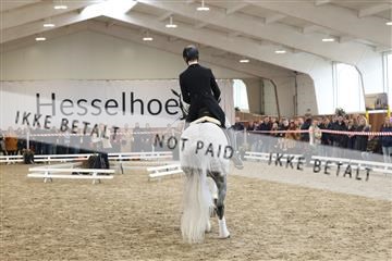 174363_kbb_01_R6II8808.JPG