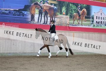 181887_mtp_02_R62_7358.JPG