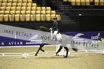 182194_kbb_01_Z095334.JPG