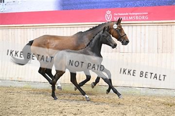 181754_kbb_01_Z093178.JPG