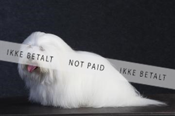 132082_le_ 01_IMG_0389.JPG