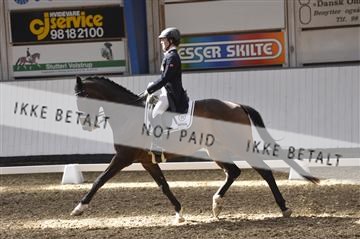 139422_bc_01__BC25713.JPG