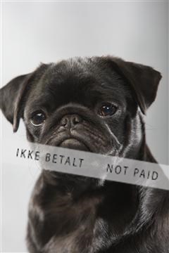 129608_le_ 01_0164.JPG