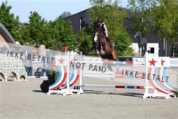 181436_avh_01_3166.JPG