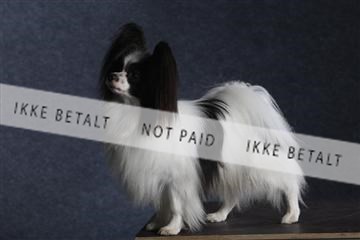 132082_le_ 01_IMG_1577.JPG