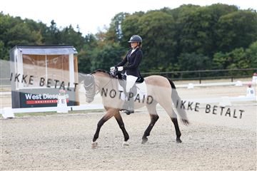 181894_mtp_02_R62_0871.JPG
