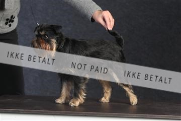 132082_le_ 01_IMG_0044.JPG