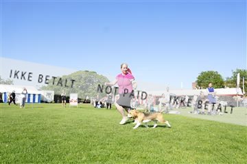 181564_kar_01__62_8230.JPG