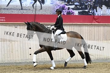 182241_kbb_01_Z094610.JPG