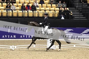 182194_kbb_03_Z091327.JPG