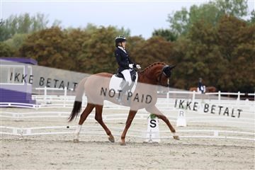 181923_mtp_01_R62_6444.JPG