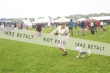 182009_kar_01__62_5816.JPG